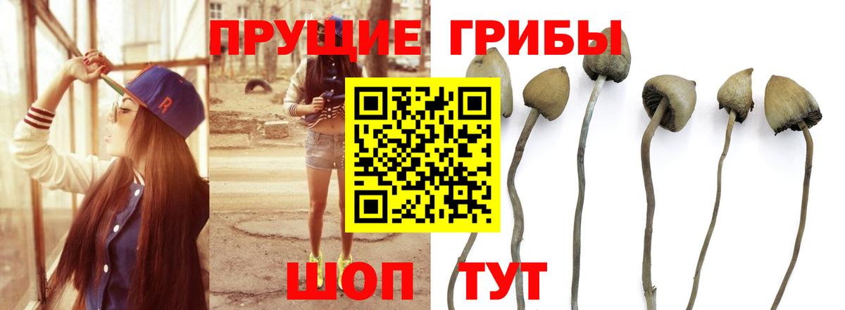Нефтеюганск  Псилоцибиновые грибы MAGIC MUSHROOMS  Вход с VPN 